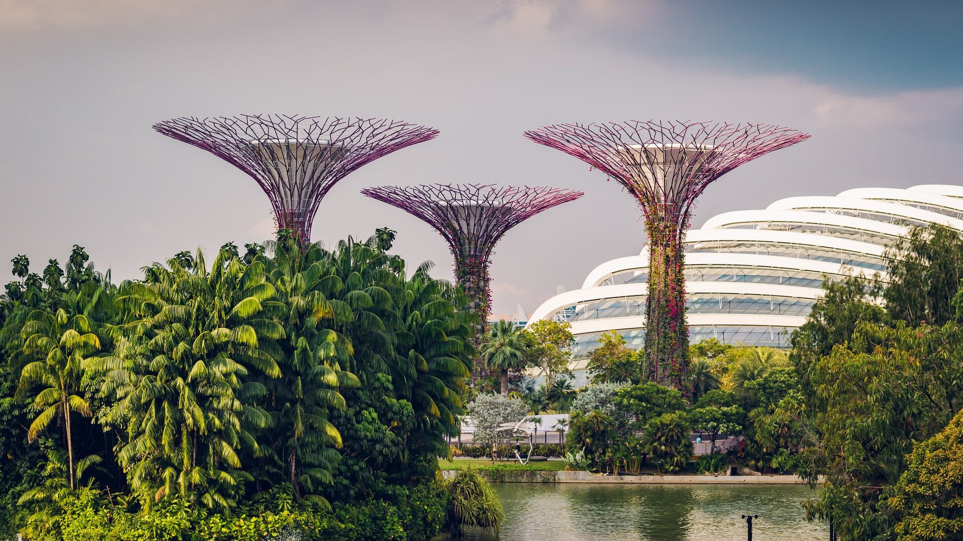 This is The Best Time to Visit Singapore In 2024