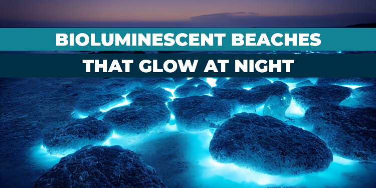 Where to watch the bioluminescent waves in San Diego - Axios San Diego