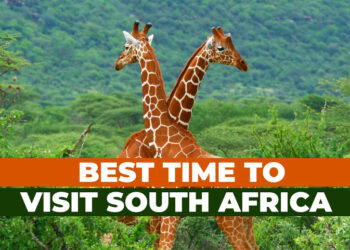 when to travel to South Africa