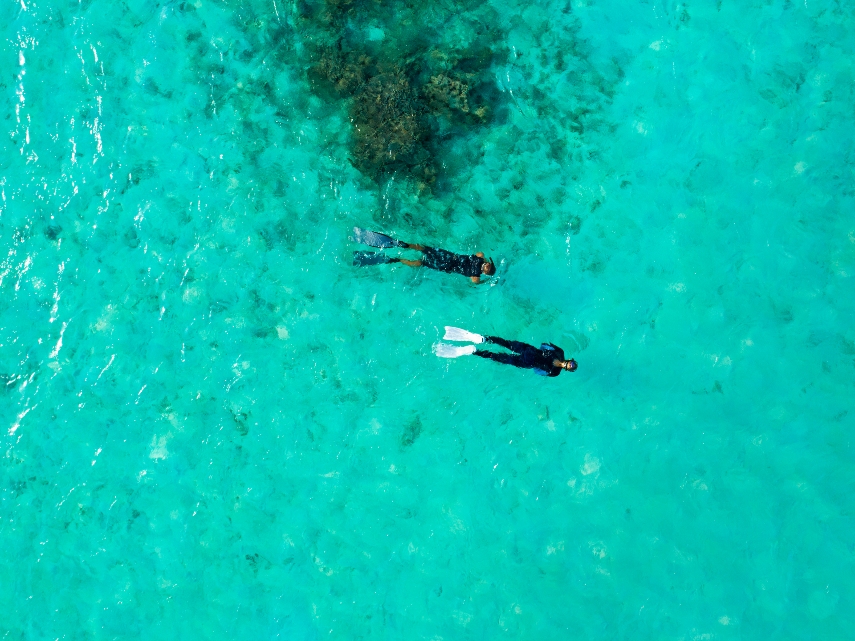 Snorkeling