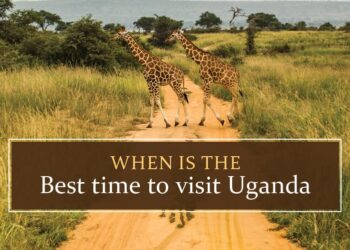 When to visit Uganda