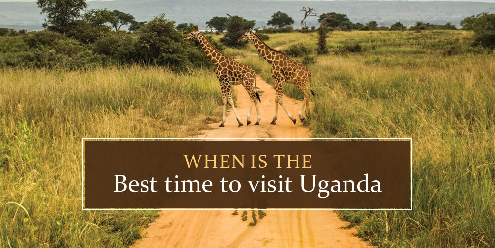 best time to travel uganda