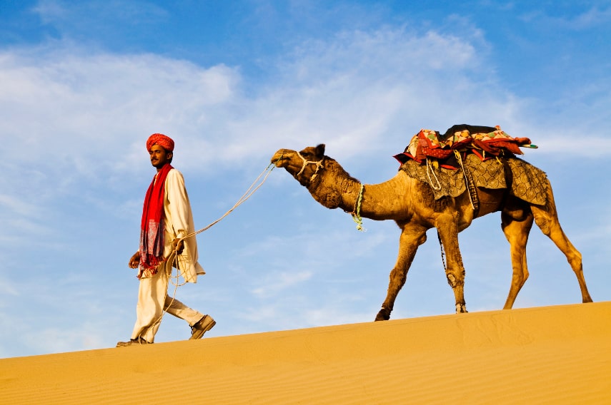 Experience a camel safari in the Thar Desert