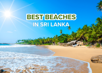 Best beaches in Sri Lanka