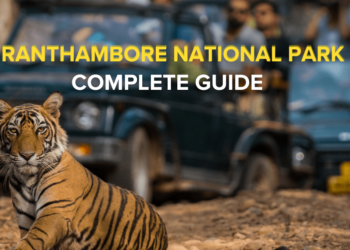 Visit Ranthambore national park