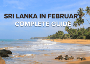 Visit Sri Lanka in February